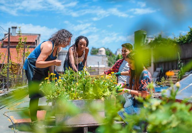 How Credit Unions Invest in Local Communities and Serve as Embedded Intermediaries